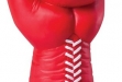 Boxing Glove - 9.5 #DT-RF23552