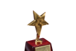 Star Award #DT-RWS37